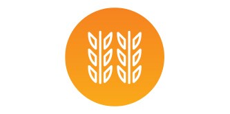 icona di grano
