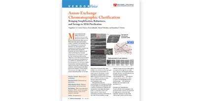 Anteprima chiarificazione cromatografica a scambio ionico: Documento di semplificazione, robustezza e risparmio per la purificazione degli MAb
