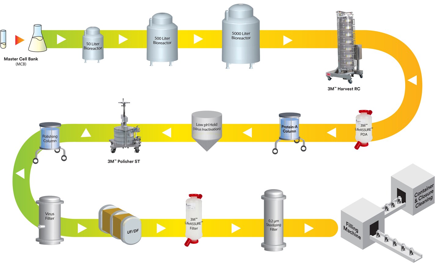 Il processo di produzione mostra la futura tecnologia dei bioprocessi con le ultime soluzioni 3M
