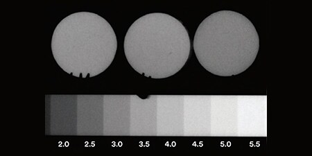 Radiografia di campioni
