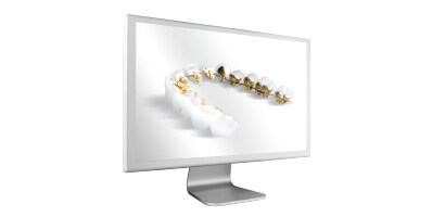 Incognito eLearning
