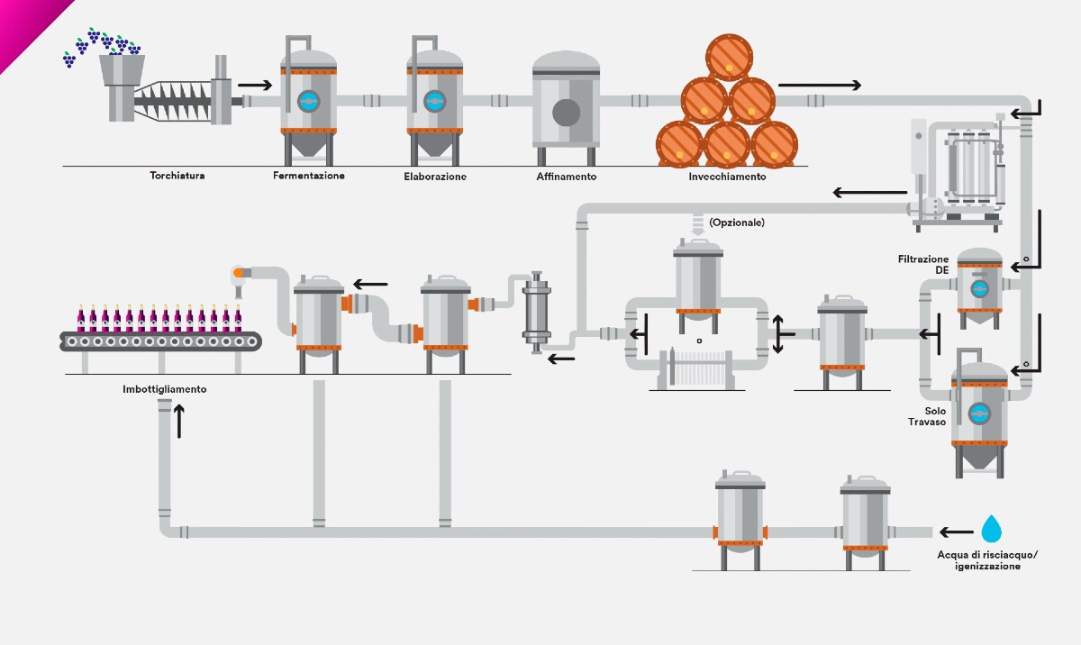 Infografica del processo di produzione del vino
