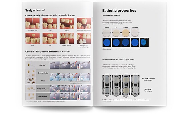 Profilo tecnico del prodotto 3M RelyX

