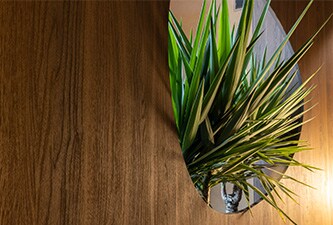 Parete con motivi in ​​legno scuro con verde visibile attraverso il ritaglio rotondo

