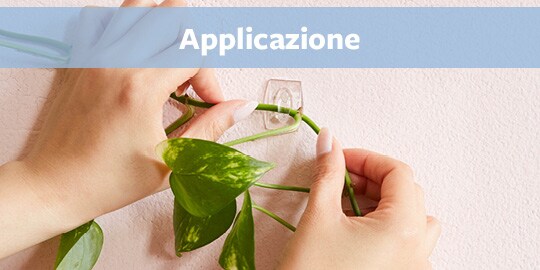 Pianta sospesa con gancio di comando chiaro
