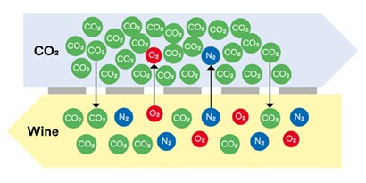 Rappresentazione schematica del trasferimento di massa con i contattori a membrana
