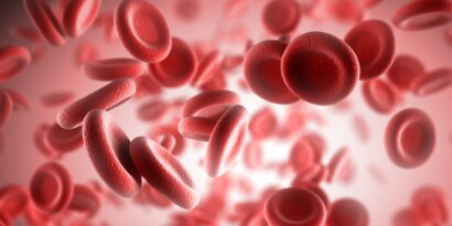 Cellule del sangue
