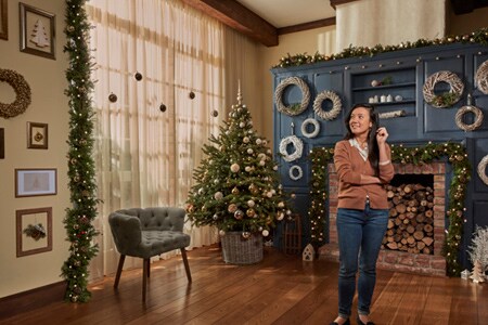 Decorazioni natalizie
