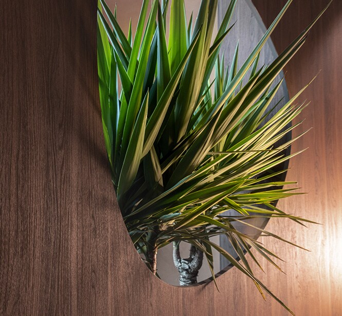Parete con finitura in legno scuro 3M DINOC e vegetazione che entra dalla finestra.