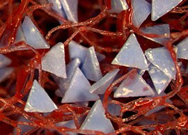 Primo piano della tecnologia 3M delle ruote abrasive in tessuto non tessuto