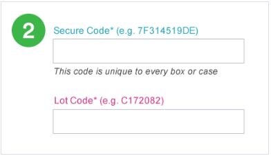 Screenshot of the two fields where the secure code and lot code are entered within the 3M Safe Guard authentication process.
