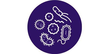 Favorire la guarigione dei pazienti con l'attività antimicrobica
