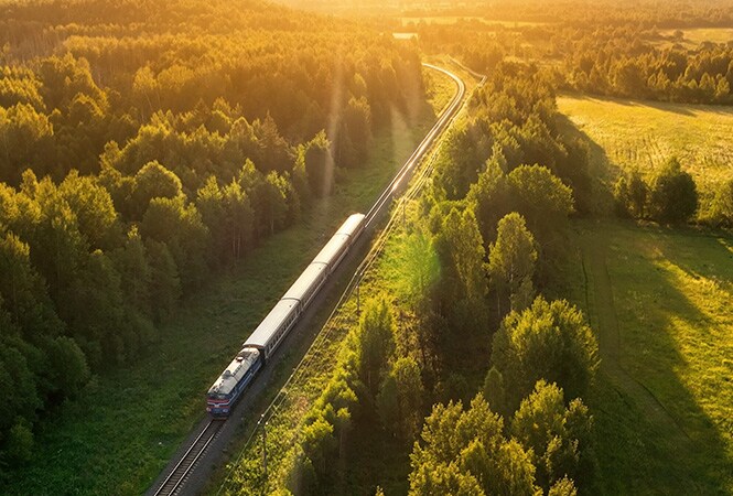 Un treno che attraversa una foresta rappresenta il miglioramento nel raffreddamento e nelle prestazioni ferroviarie.
