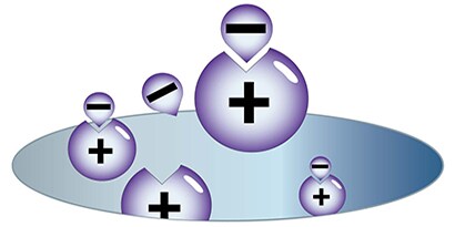 rimozione delle endotossine
