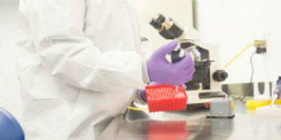 Protezione della colonna di cromatografia
