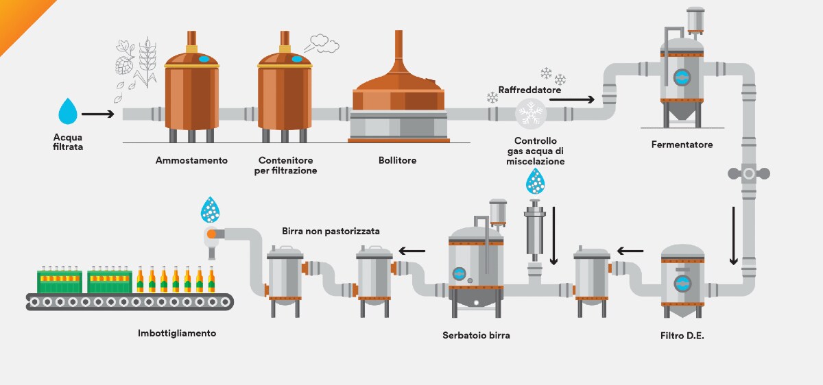 Infografica del processo di produzione della birra
