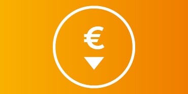 Infografica con scritto €
